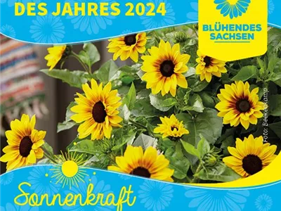 Eröffnung Blühendes Sachsen 2024