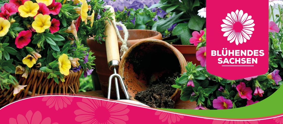 Tage der offenen Gärtnerei – Dein Start in die Gartensaison!