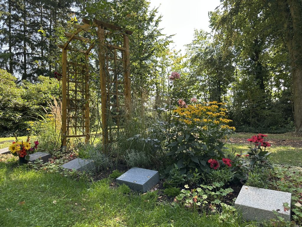 Rosengarten mit Holzbogen und Kletterrosen; blühende Beete als ruhiger Bereich für Rosenliebhaber.