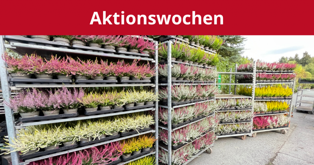 aktion-heide