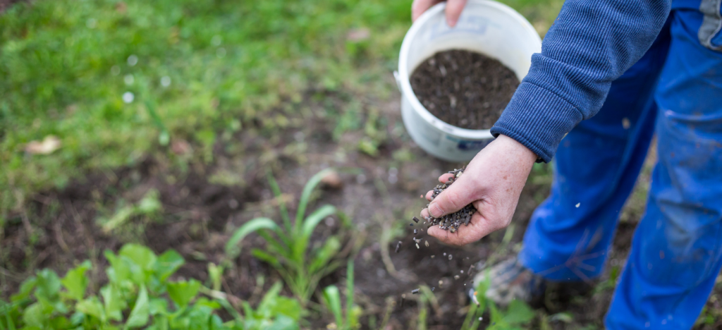 Gartenwissen - Gartenboden verbessern und Pflanzen düngen