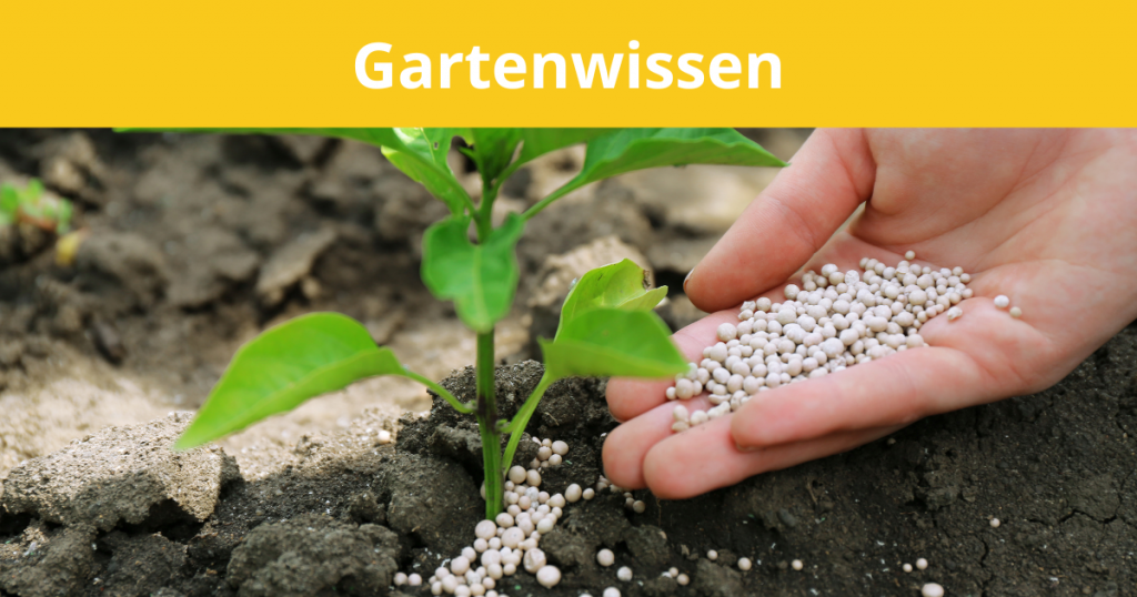 Gartenwissen-düngen