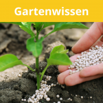 Gartenwissen-düngen