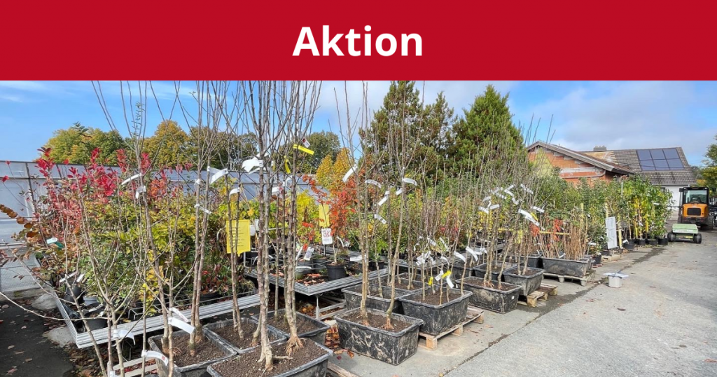 aktion-obstgehölze