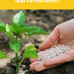 Gartenwissen-düngen