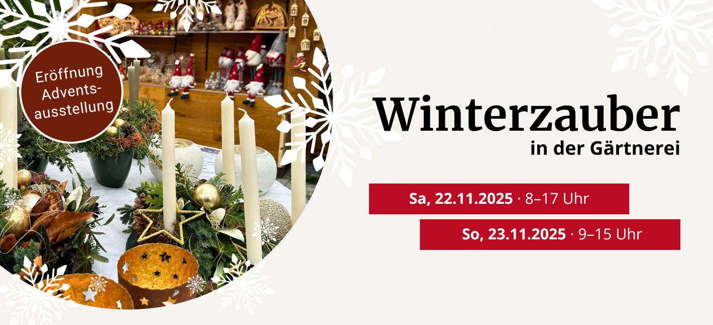 #slidecaption2 Mehr Infos