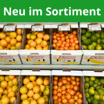 zitrusfrüchte aus italien