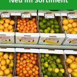 zitrusfrüchte aus italien