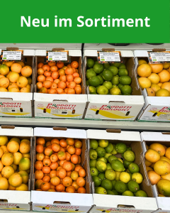 zitrusfrüchte aus italien