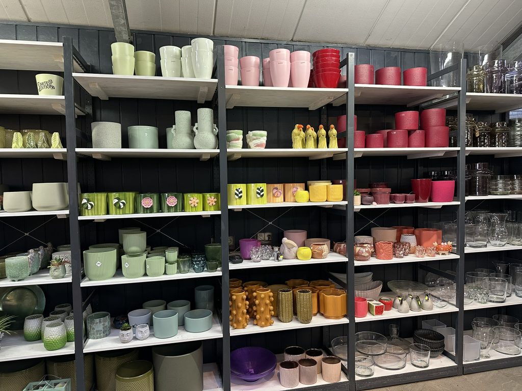 Regal mit Übertöpfen und Blumentöpfen in verschiedenen Farben und Größen in der Gärtnerei und Baumschule Tröltzsch in Oelsnitz Vogtland