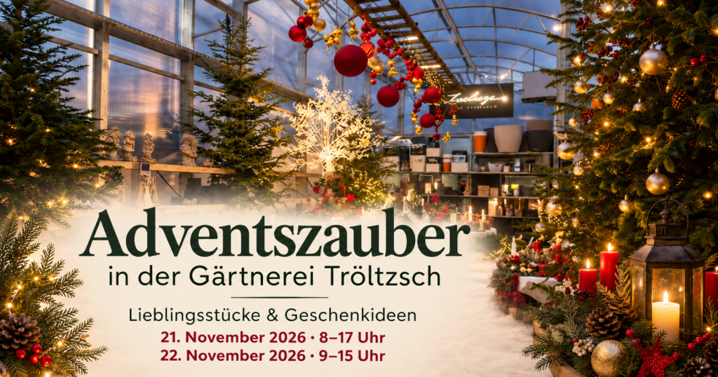 Adventszauber in der Gärtnerei Tröltzsch