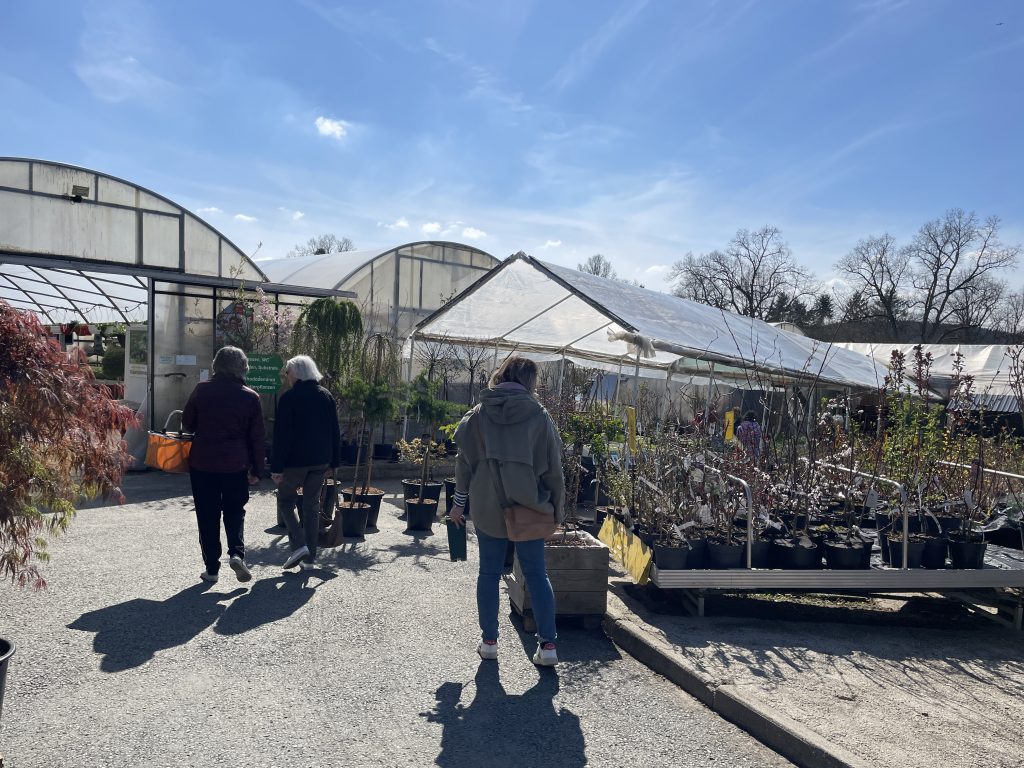 Blühendes Sachsen: Tage der offenen Gärtnerei 2026