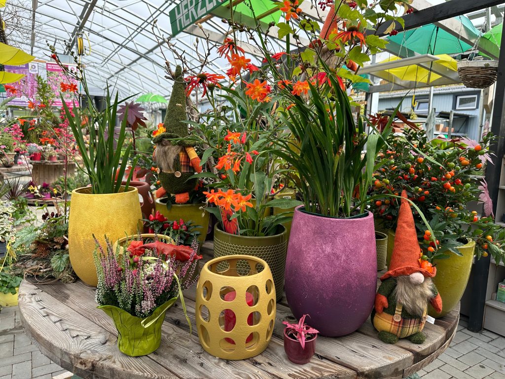 Herbstfest mit Kürbiswiegen