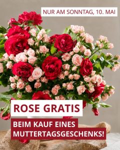 Zum Muttertag: 1 Rose gratis dazu