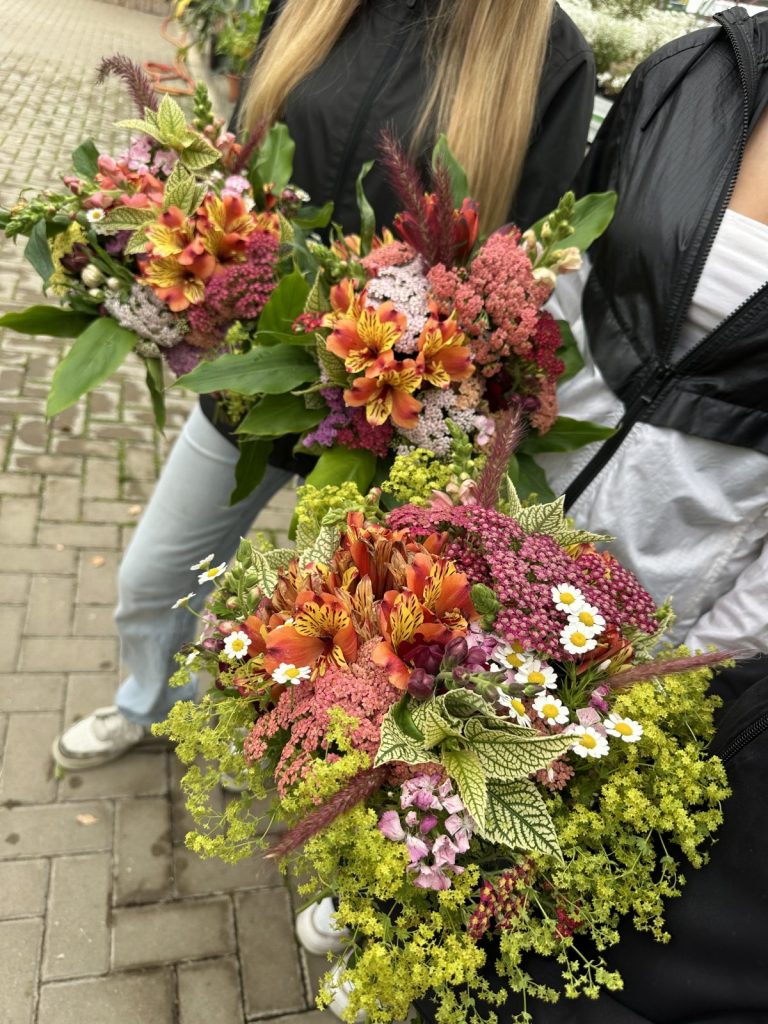 Berufsorientierung