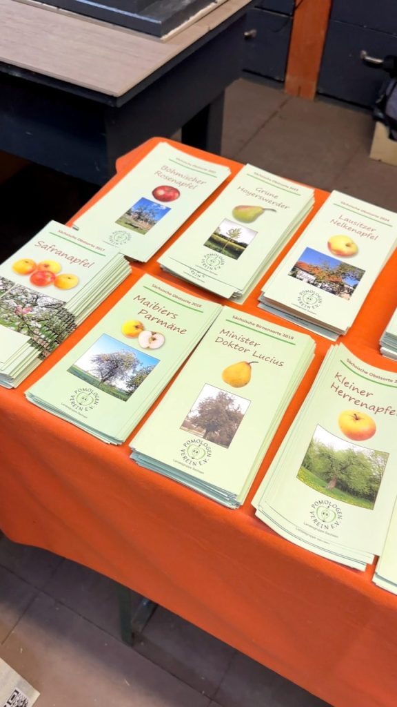 Rückblick auf unsere Obstsortenbestimmung 2026 in Oelsnitz: Pomologe Herr Geringswald bestimmte alte Apfel- und Birnensorten und gab wertvolle Tipps.