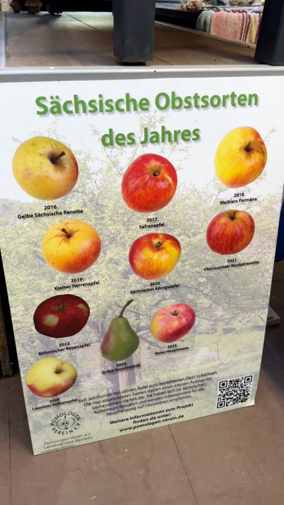 Rückblick auf unsere Obstsortenbestimmung 2026 in Oelsnitz: Pomologe Herr Geringswald bestimmte alte Apfel- und Birnensorten und gab wertvolle Tipps.