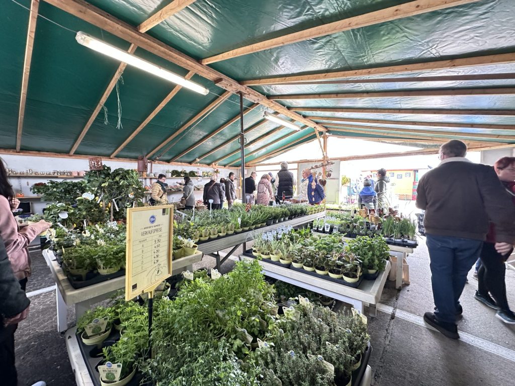 Verkaufsstand der Gärtnerei Tröltzsch mit Frühlingspflanzen und Geschenkideen beim Bauernmarkt in Plauen