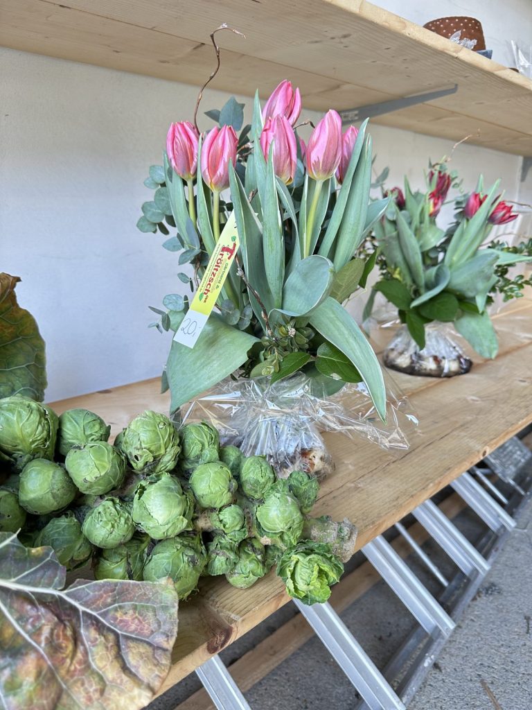 Verkaufsstand der Gärtnerei Tröltzsch mit Frühlingspflanzen und Geschenkideen beim Bauernmarkt in Plauen
