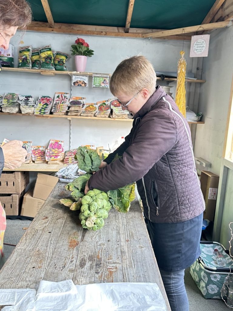 Verkaufsstand der Gärtnerei Tröltzsch mit Frühlingspflanzen und Geschenkideen beim Bauernmarkt in Plauen