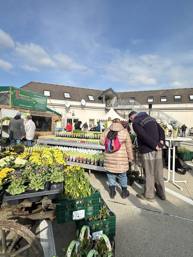 Verkaufsstand der Gärtnerei Tröltzsch mit Frühlingspflanzen und Geschenkideen beim Bauernmarkt in Plauen