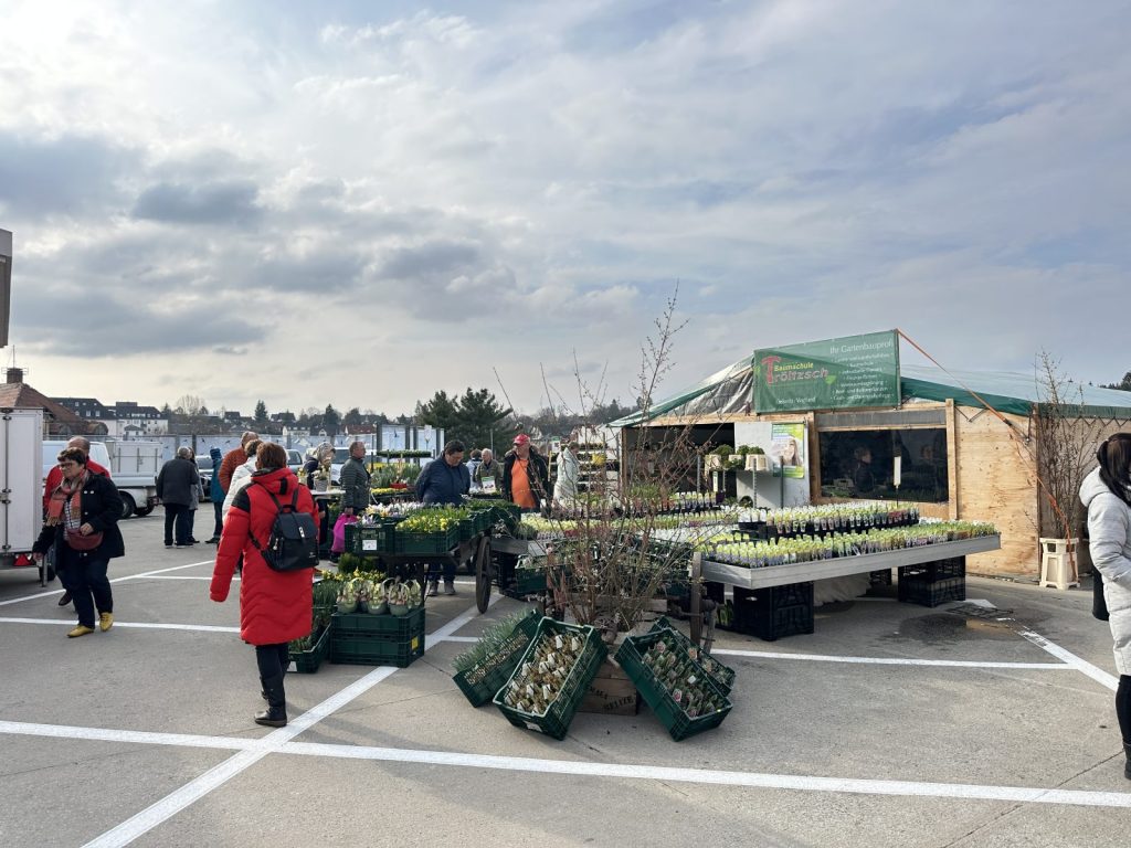 Verkaufsstand der Gärtnerei Tröltzsch mit Frühlingspflanzen und Geschenkideen beim Bauernmarkt in Plauen