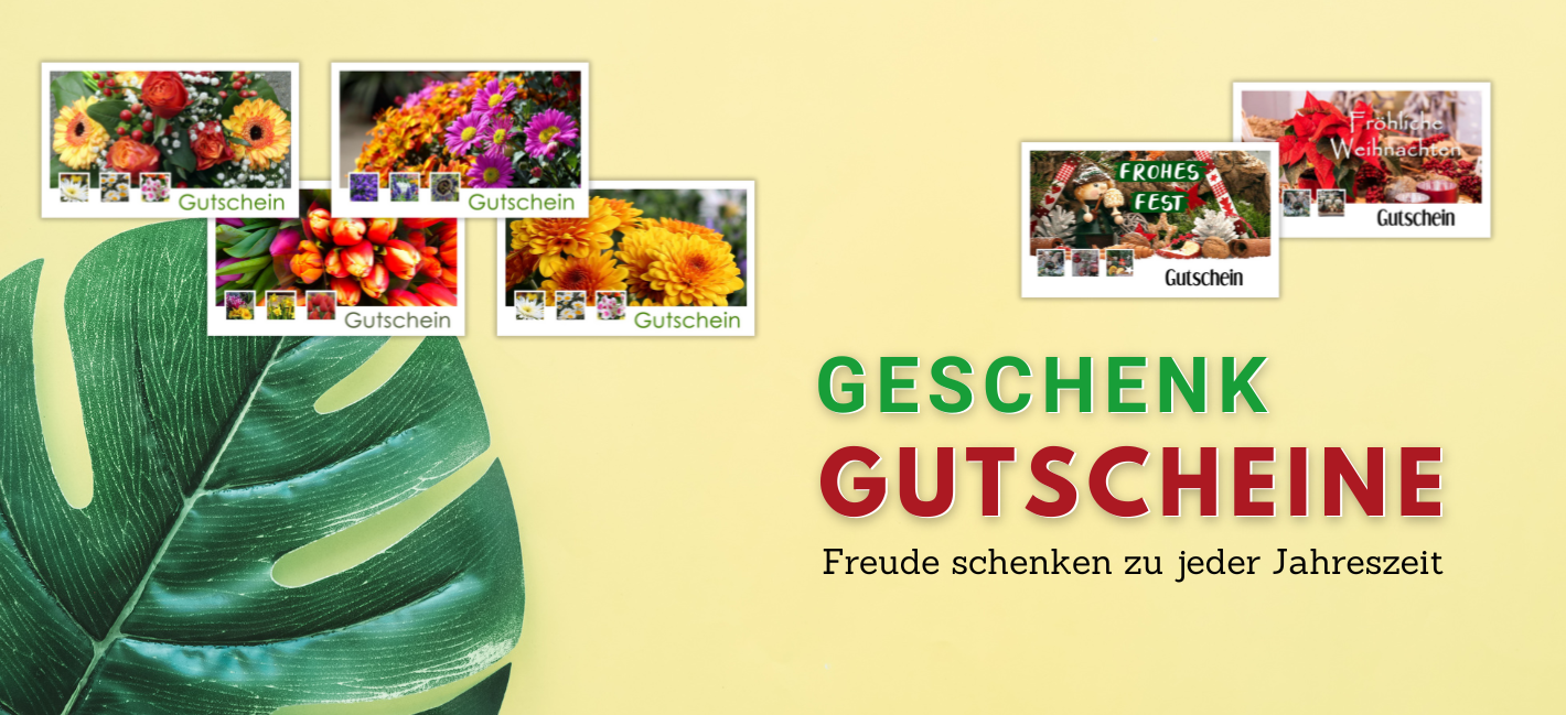 Banner Gutscheine
