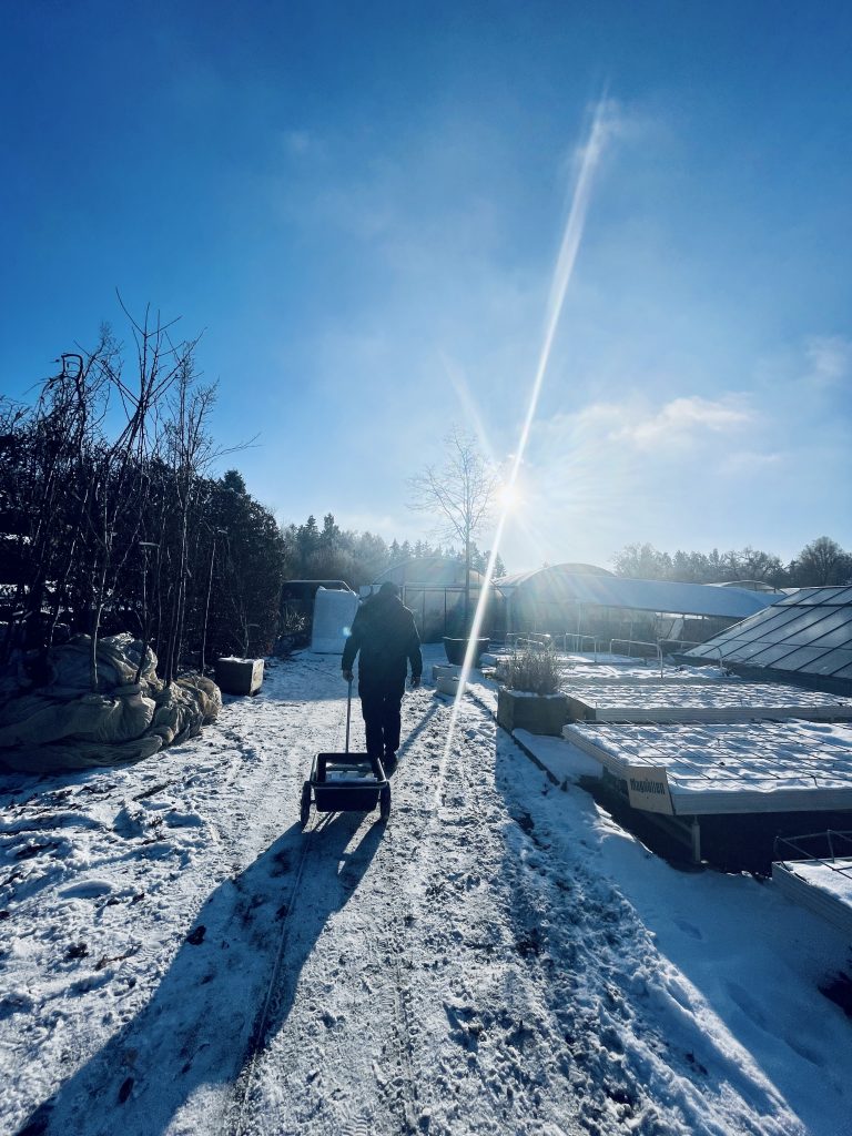 Winter in der Gärtnerei