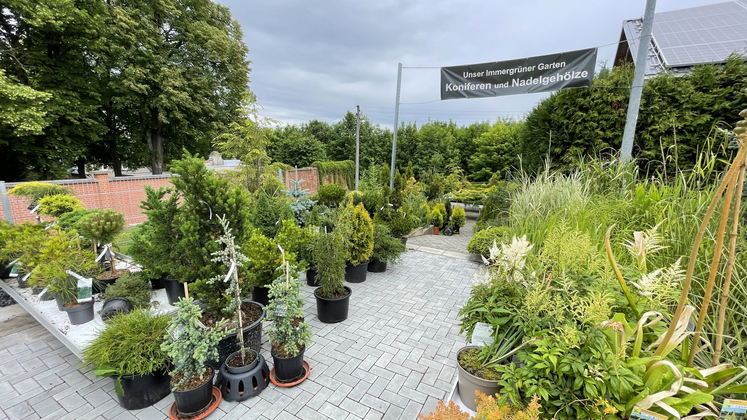 Kleiner Teil an Gehölzen