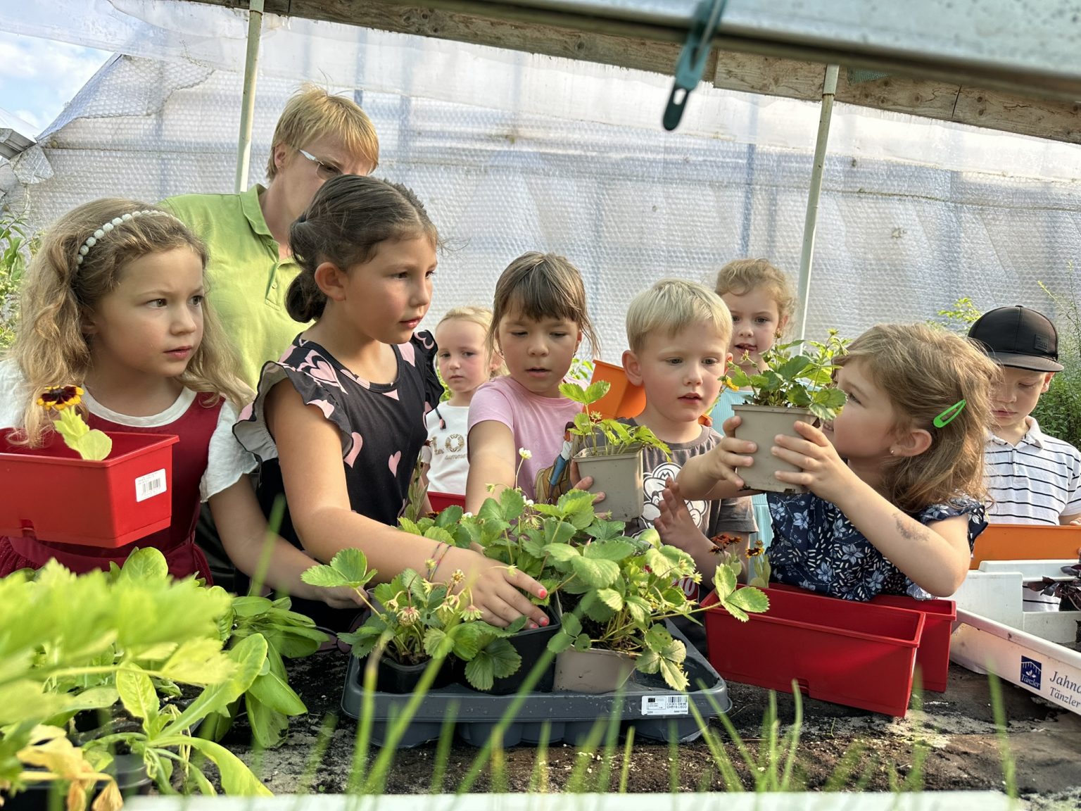 Zuckertütenfest, Schulanfang Matthias Tröltzsch Gärtnerei und Baumschule Tröltzsch Oelsnitz