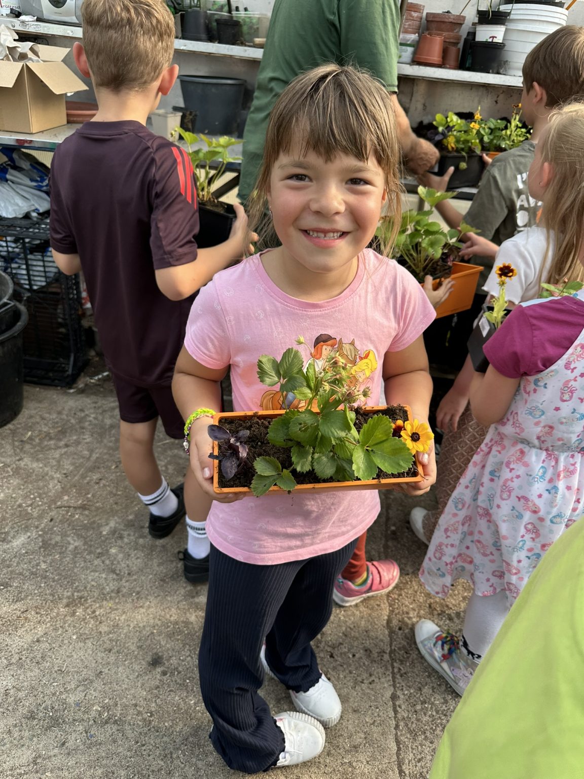 Zuckertütenfest, Schulanfang Matthias Tröltzsch Gärtnerei und Baumschule Tröltzsch Oelsnitz
