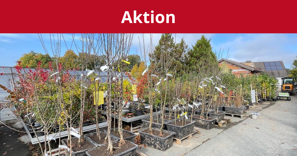 aktion-obstgehölze