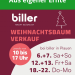 Weihnachtsbaumverkauf in Plauen