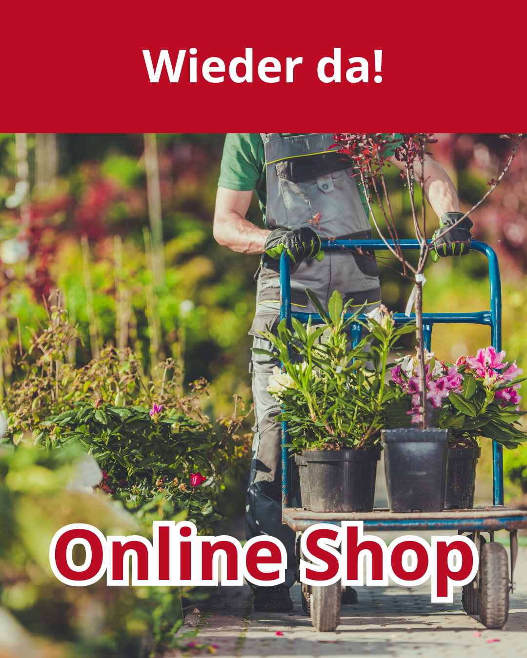 wieder da-online-shop