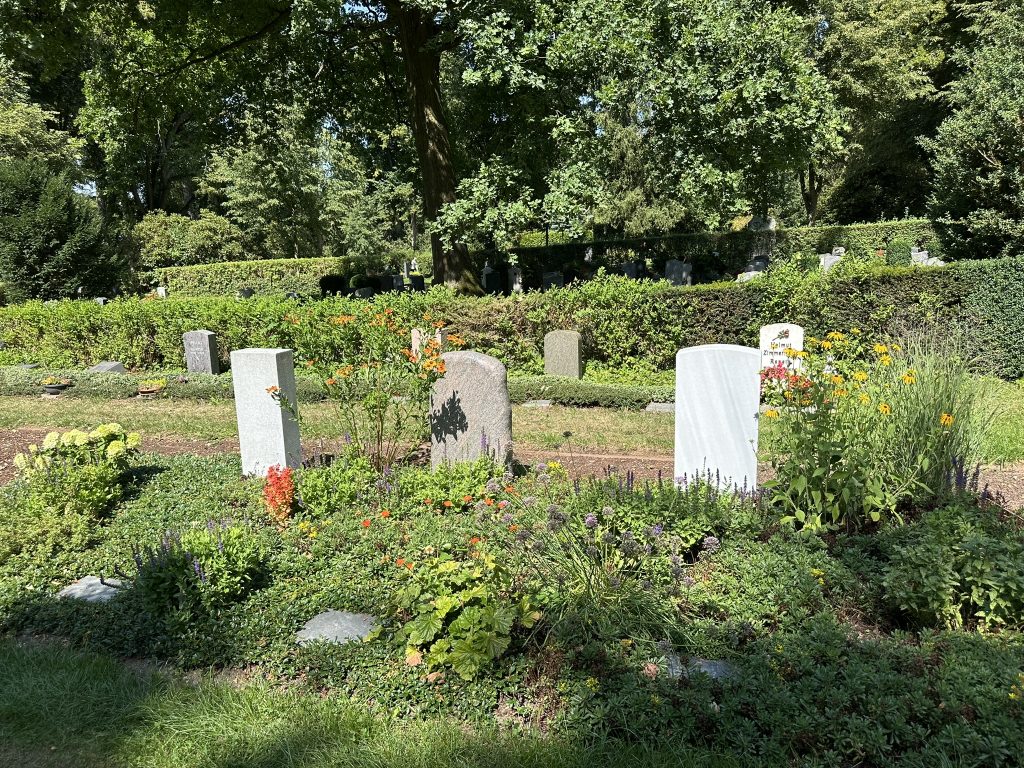Zwei benachbarte Urnenplätze mit Bank unter Baum; Ort für Partner- und Familienbestattungen.