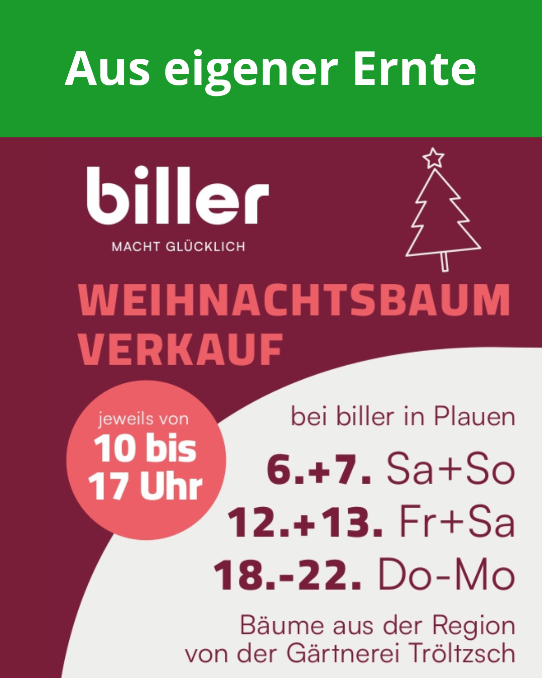 Weihnachtsbaumverkauf in Plauen